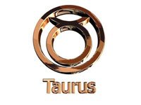 What is the compatibility of a Taurus woman and Capricorn man?